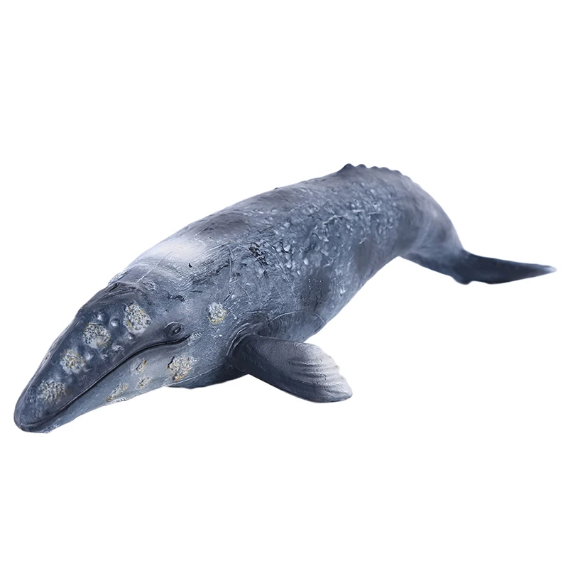 Sealife животные Большой Emulational синий кит сперма КИТ Акула животных модель для детей