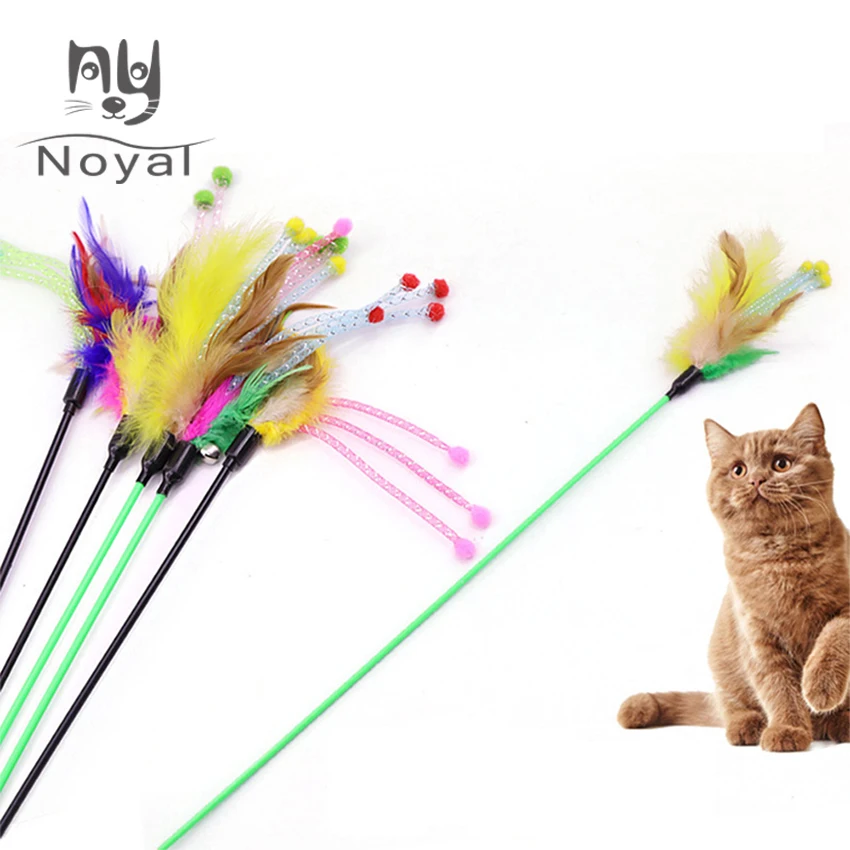 NOYAL logo
