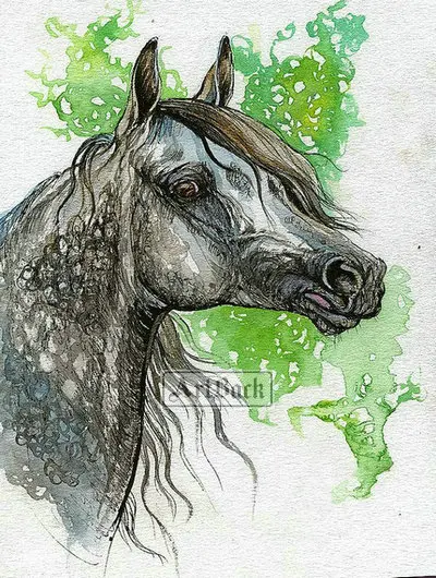 ARB- (88)