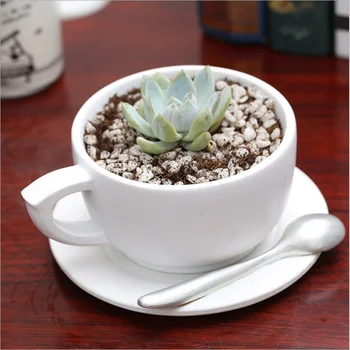 

Creative Tea Cup Decoration Vase Green Plant Flower Home Decoration Accessories Desktop Tea Cup Vase Free Shipping