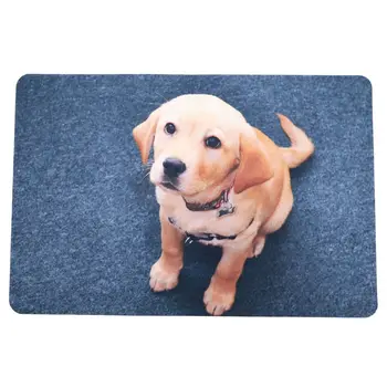 

HOT SALE 40*60cm Carpet 3D Printing Door Mat Cute Dog Bath Mat Non-Slip Bathroom Kitchen Carpets Living Room Rug Kids Room Car