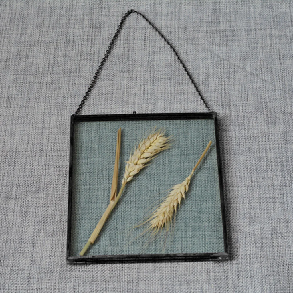 Glass Hanging Frames with Chain Rope, for Display Photos, Pictures, Artworks, Paintings, Posters