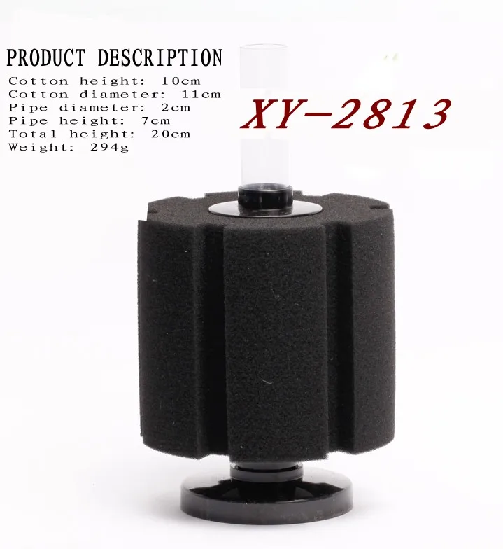 21_conew1