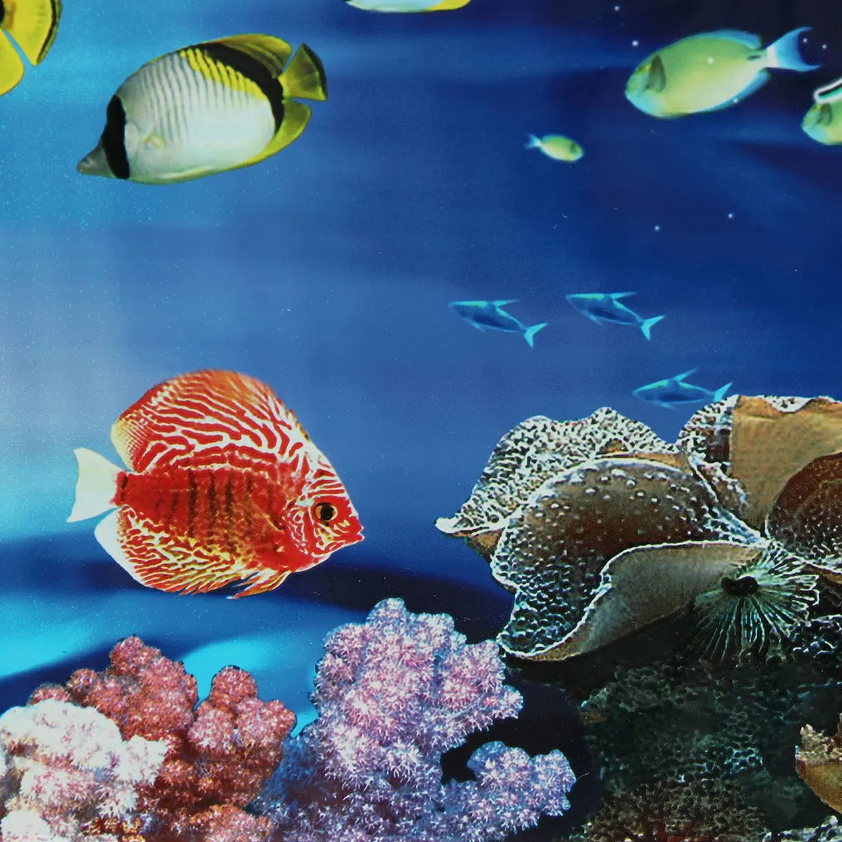 

SZS Hot Background Aquarium Ocean Landscape Poster Fish Tank Background