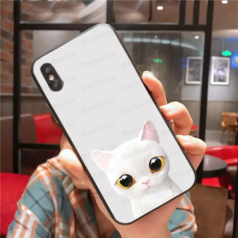 Kawaii lovely Cat 