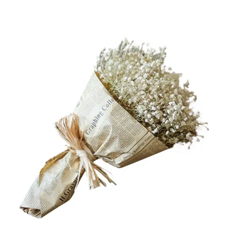 Гипсофила Природный сухих цветов Гипсофилы Home Decor Sky Star Ma18 | Дом и сад