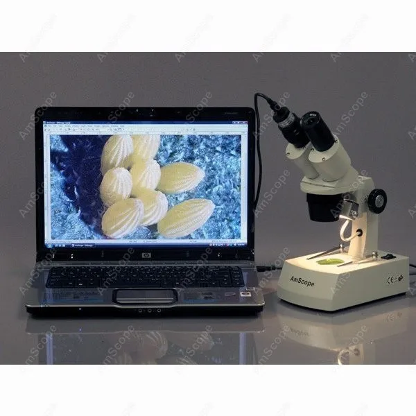 se305r-a-e-microscope-6_6_1