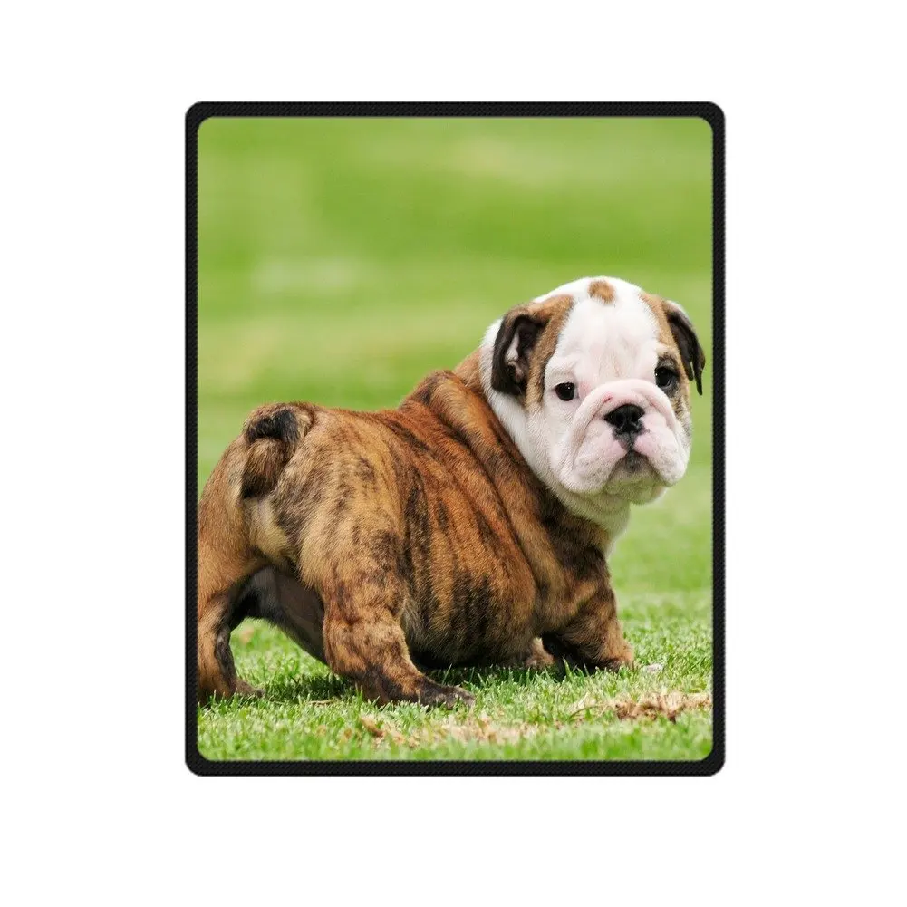 Funny English Bulldog Blanket Fleece Blanket Super Warm Bed Blanket Lightweight Counch Blanket