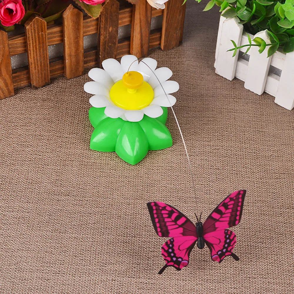 battery operated butterfly cat toy