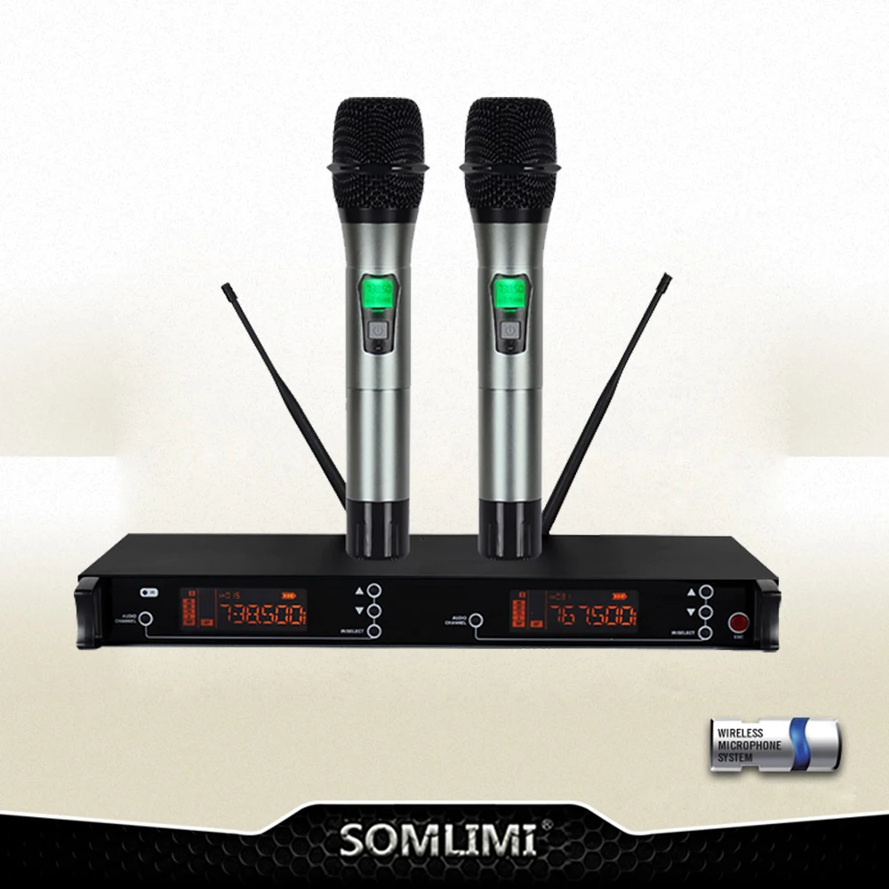 

High Quality Professional Dual Wireless Microphone FD-100 System True diversity