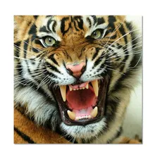 5d алмазная картина вышивка крестиком тигр, с головой тигра Мультфильм алмазные вышитые наклейки дрель вышитые на заказ фото