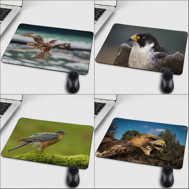 Mairuige Creative Printed Falcon Owl Hd Art Pattern Wallpaper Computer Mini Pc Mousepads For Animals Lover And Game Player Mouse Pads Aliexpress