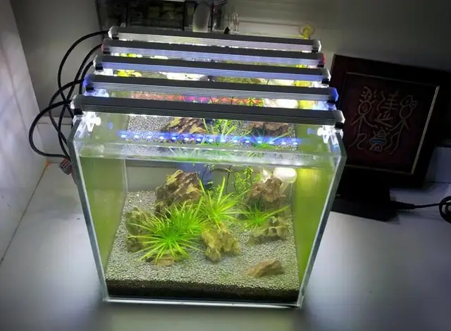 dc 12v 4w diy