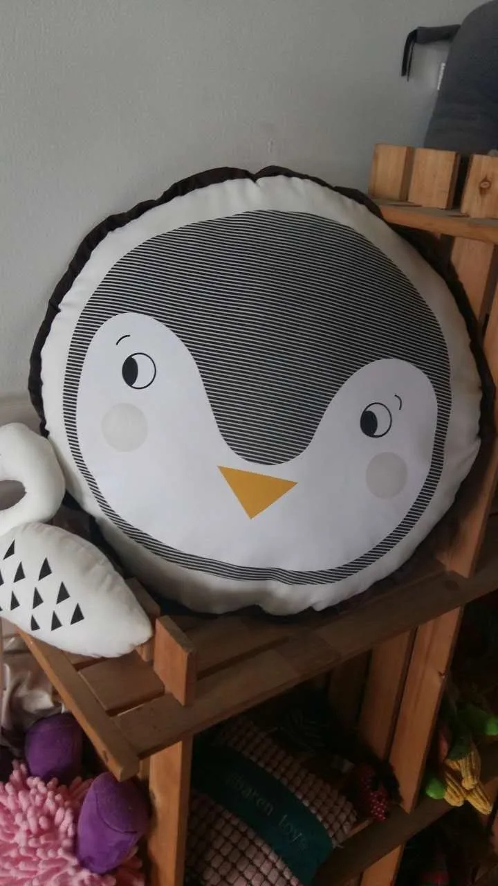 2964490808_1505645041