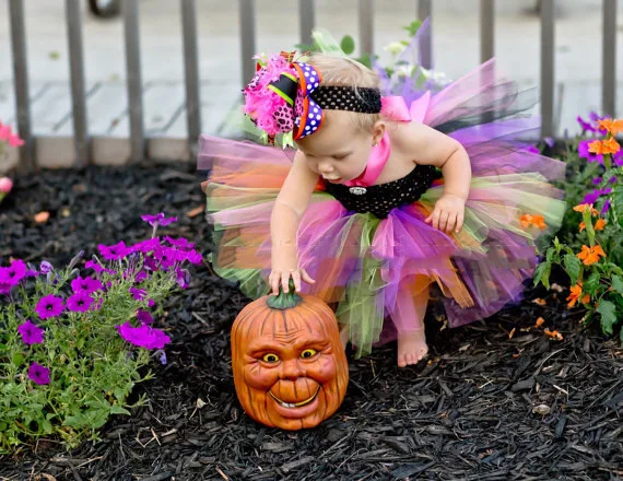 3556671834_1794220726