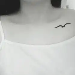 Хна для татуировки Новые 500 модели водостойкие Временные татуировки 2018 поддельные флэш-татуировки наклейки тату дикие гусиные птицы