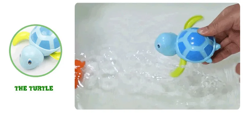 9013548526_1751104434