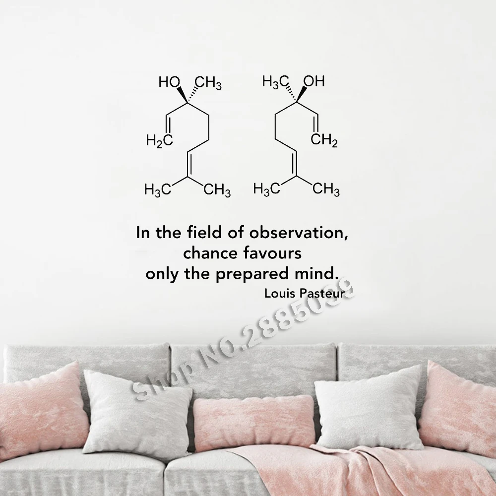 Художественная химия шаблон наклейки на стену Луи Пастера вдохновляющие цитаты и энантиомеры структура винил декорирование стен LC697