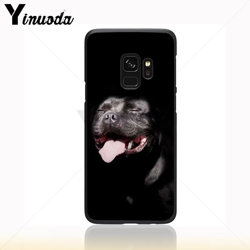 Dachshund Silhouette Dog
