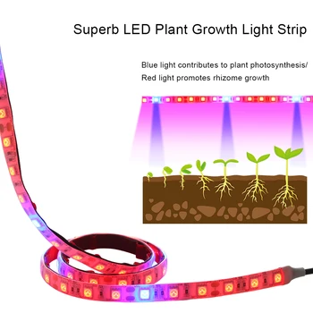 

LED Grow Light Strip Indoor Outdoor Greenhouse Plant Growth Lamp DC12V LED Light Strip IP54 Waterproof For Plant Factory Farm
