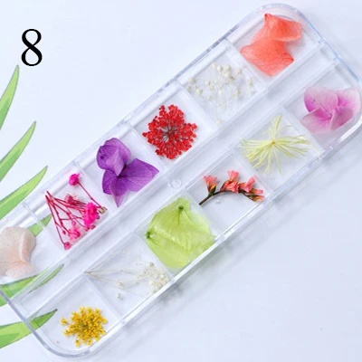 Natural Nail Dried Flowers Decoration Mix Dry Flower And Leaf Decor 3D Nail Art Designs Gypsophila Manicure Accessories - Цвет: 8