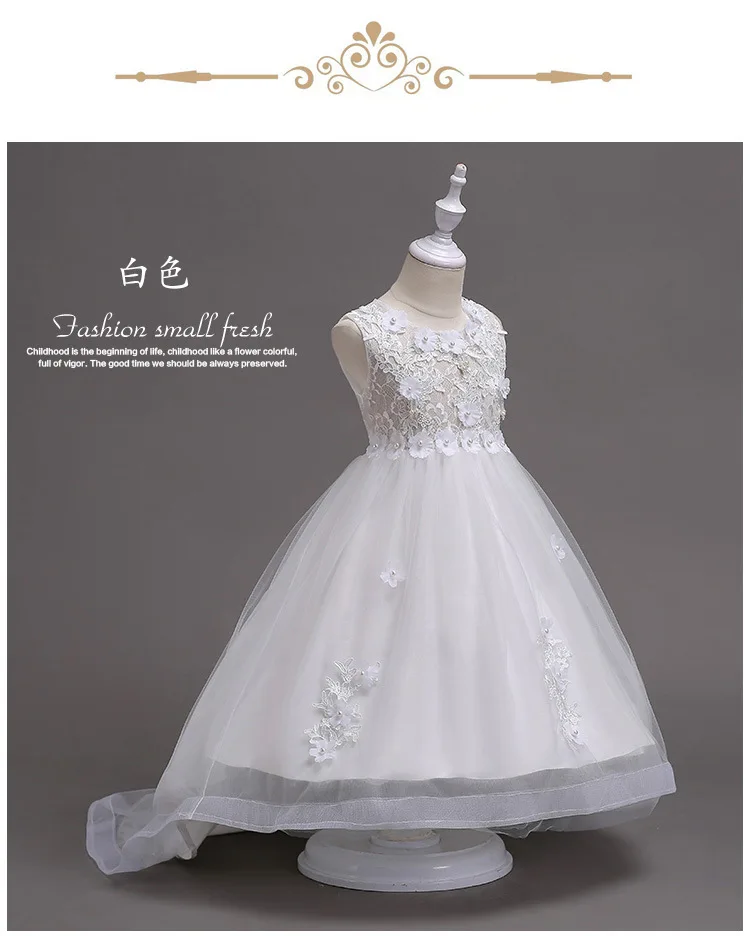 7238227493_1498729419