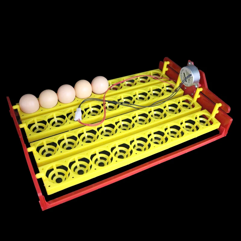 36 Eggs Incubator Automatic Incubator Automatically Turn Egg Tray Incubation Experiment Teaching Equipment 4 * 9 Holes