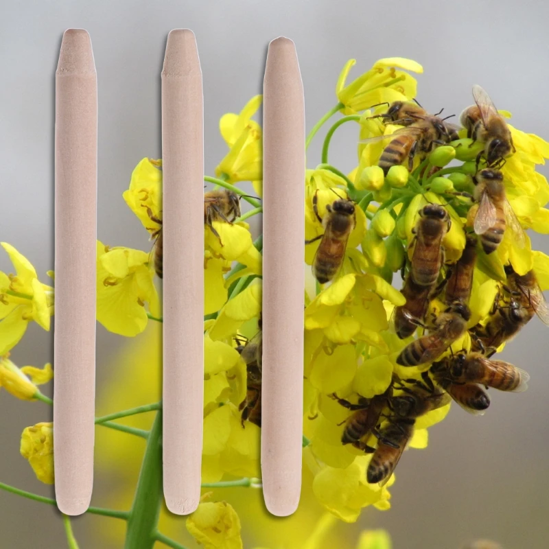 

3 Pcs Beekeeping Wood Stick Wax Bowl Cultivate Bee Queen Breeding Italian Tools