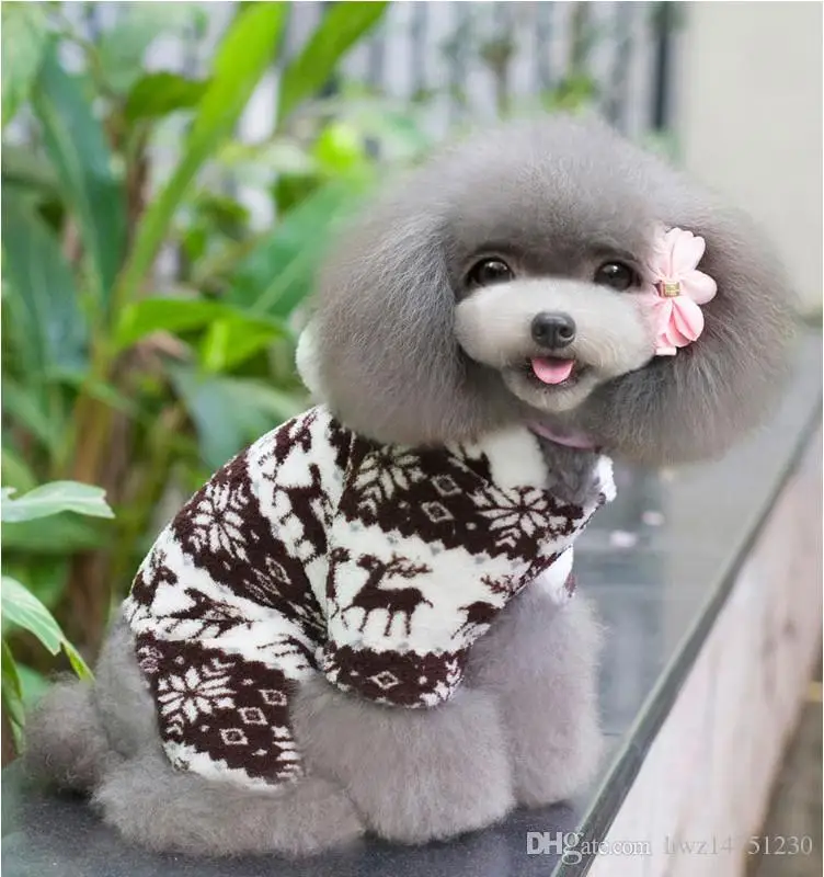 Рисунок комнатная собачка Утепленная зимняя одежда футболка свитер для щенка вязаная эластичная собака простая повседневная одежда