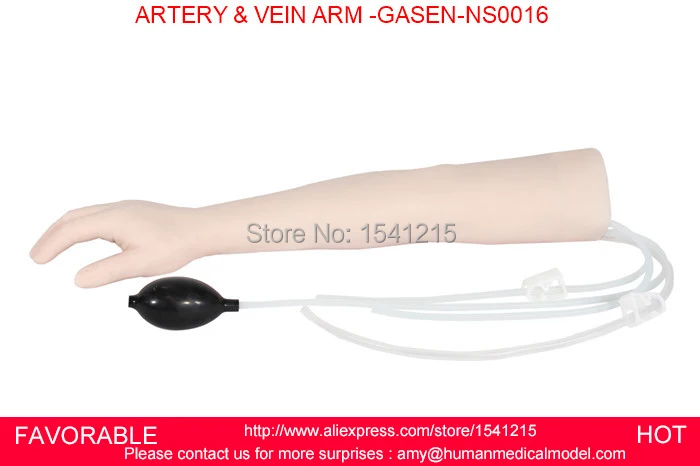 

ARM INJECTION MANIKIN,ARTERY PUNCTURE ARM SIMULATOR, ARTERIAL PUNCTURE ARM MODEL,ARTERY & VEIN ARM -GASEN-NSM0016