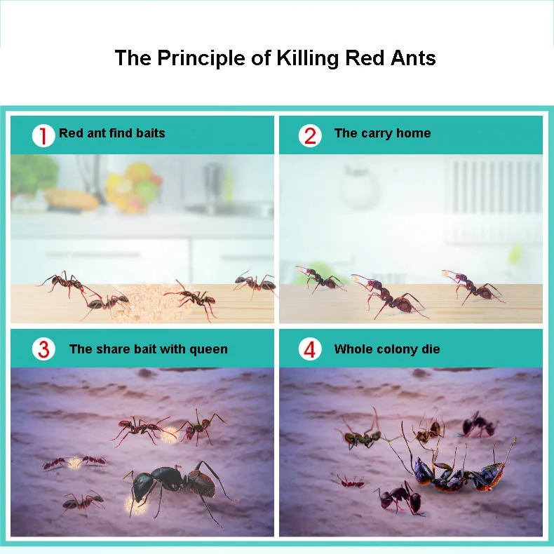 100 г красный муравей инсектицид приманка для уничтожения Красного муравья яд для уничтожения колонии порошок красный огненный муравей черный муравей полное гнездо