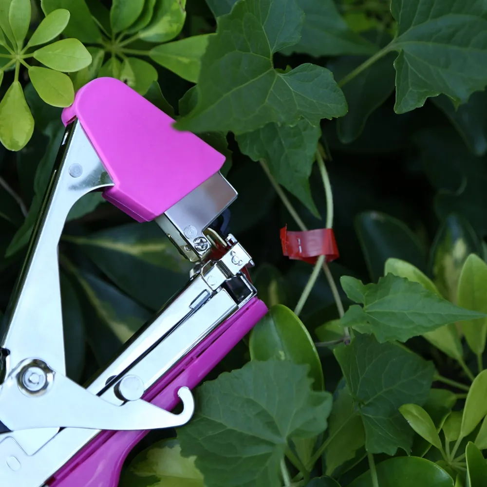 

Bind Branch Machine Gardening Tool Packing Vegetable's stem Strapping Cortador Tapener Stem Strapping Cutter Packing Tape Tool