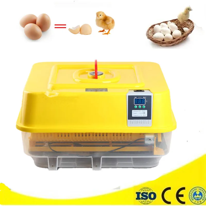 Hot Sale Chinese Factory Poultry Hatching Machine 48 Eggs Incubator Hatcher Chicken Quail Brooder Hot Sale Chinese Factory Poultry Hatching Machine 48 Eggs Incubator Hatcher Chicken Quail Brooder