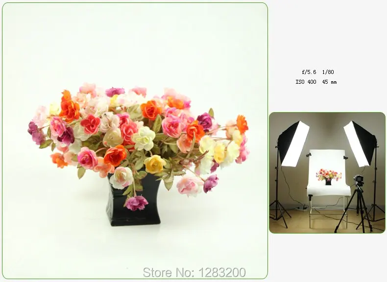 T2J1mdXRRXXXXXXXXX-1881258109