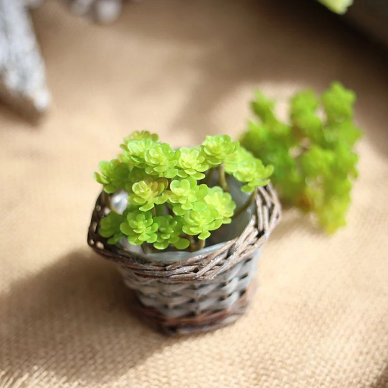 

24 fork cactus simulation flower Widely used in various occasions Home decoration