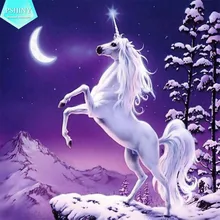 ×ª××× × ×§×©××¨×