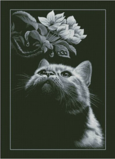 CS-372 cross stitch cat and morning dew flower cross stitch kit kitty.jpg