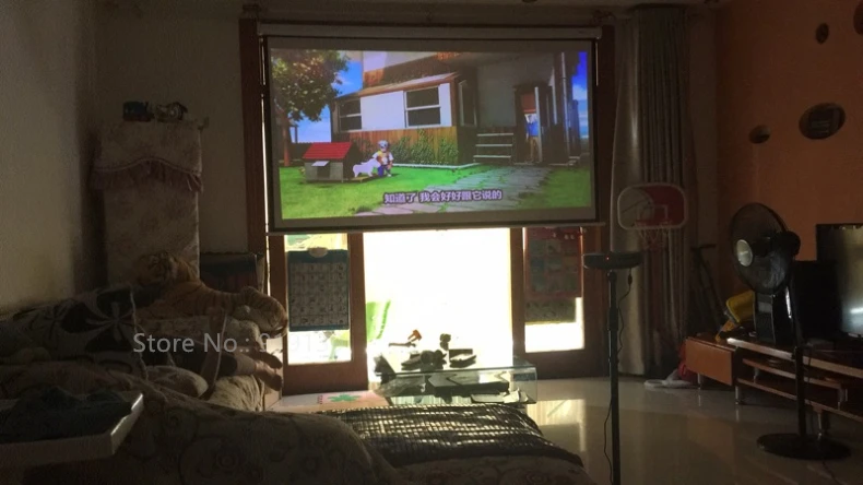 100inch 16x9 Manual Screen pic 30