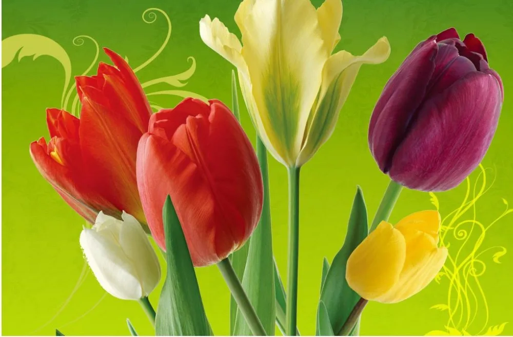 Us 12 6 58 Off Kustom 3d Wallpaper Bunga Tulip Ruang Tamu Sofa Latar Belakang Dinding Wallpaper 3d Wallpaper Untuk Kamar In Wallpaper From Perbaikan Us 12 6 58 Off Kustom 3d Wallpaper Bunga Tulip Ruang Tamu Sofa Latar Belakang Dinding Wallpaper 3d Wallpaper Untuk Kamar In Wallpaper From Perbaikan