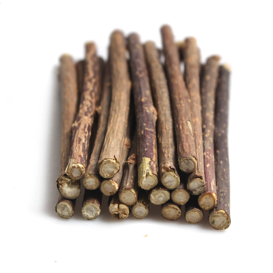15&20pcs Natural Catnip Pet Cat Molar Toothpaste Stick Matatabi Actinidia Fruit Silvervine Cat Snacks Sticks Pet Cleaning Teeth