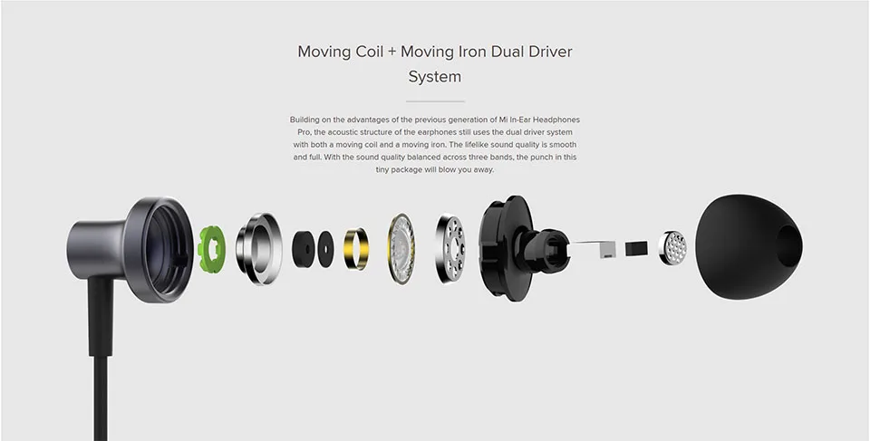 Mi Dual Driver Earphones