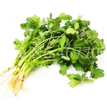 Лидер продаж! 200 шт бонсай Carway открытый кориандр петрушка кориандр сатиум здоровые овощи в горшке садовые товары для цветов