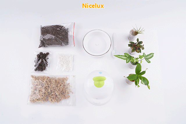 03593760015121179091Niceluxorangewryhbold20