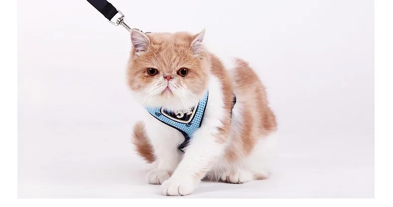 HOOPET Pet Cat Vest Harness Leash Suit Set Sadoun.com