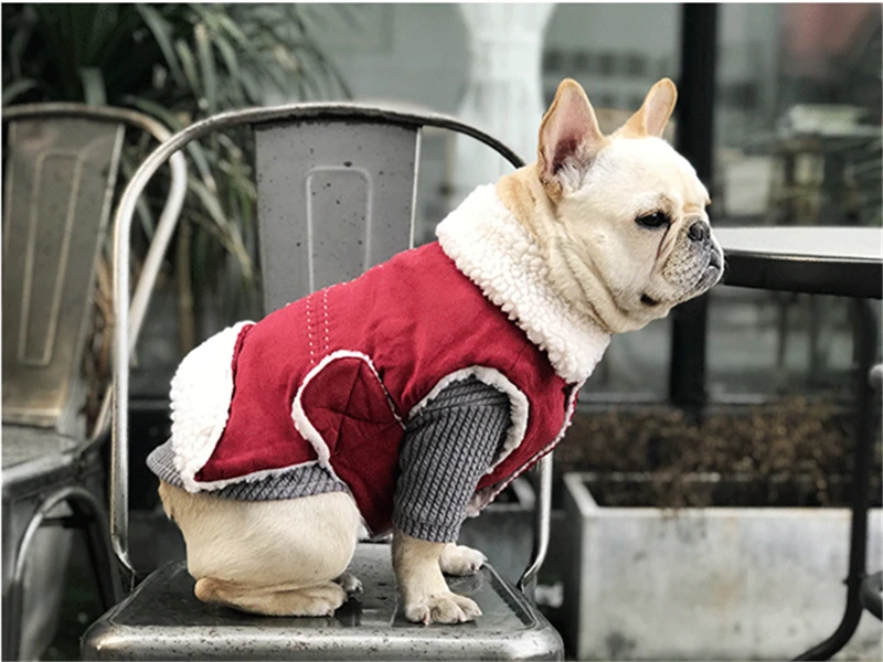 dog clothes coat winter (1)