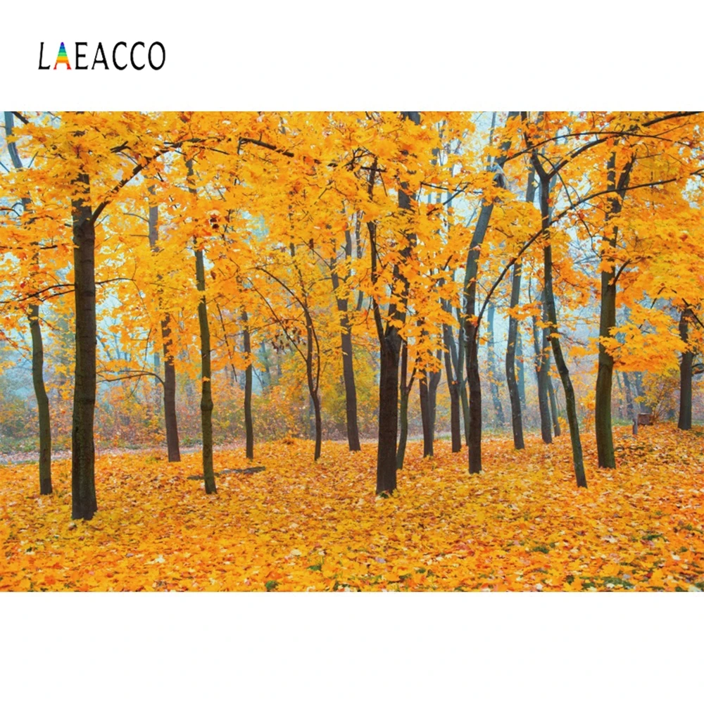 

Laeacco Autumn Forest Fallen Leaves Scenery Personalized Backdrops Camera Oil Painting Photography Backgrounds For Photo Studio
