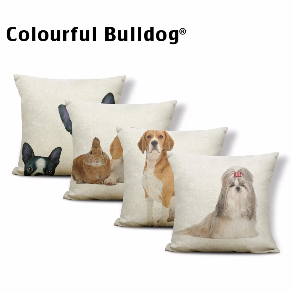 

Cuteness Animal Throw Pillow Shih Tzu French Bulldog Cushion Cover Labrador Rabbit Cat Boxer Dog 17*17In Living Room Couch Decor
