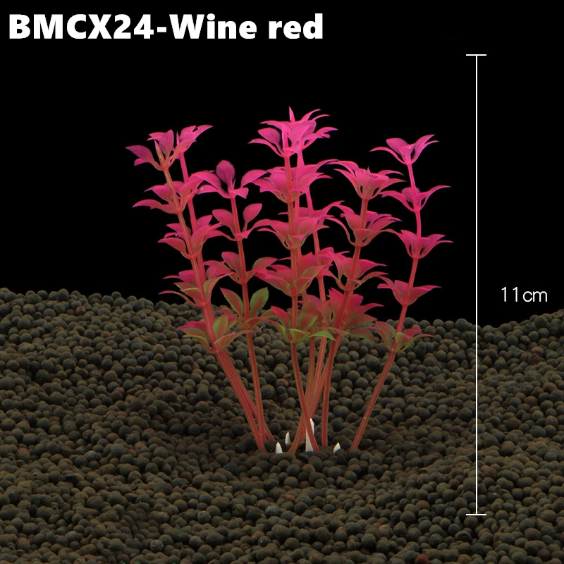 BMCX24 (4)