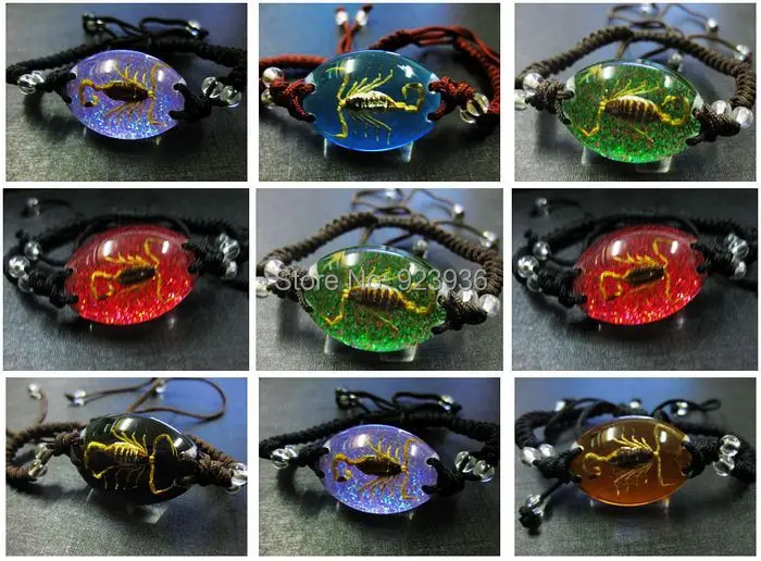 

free shipping 12 PCS GOLD SCORPION KING BRACELET INSECT SPECIMEN TAXIDERMY INSECT GIFT