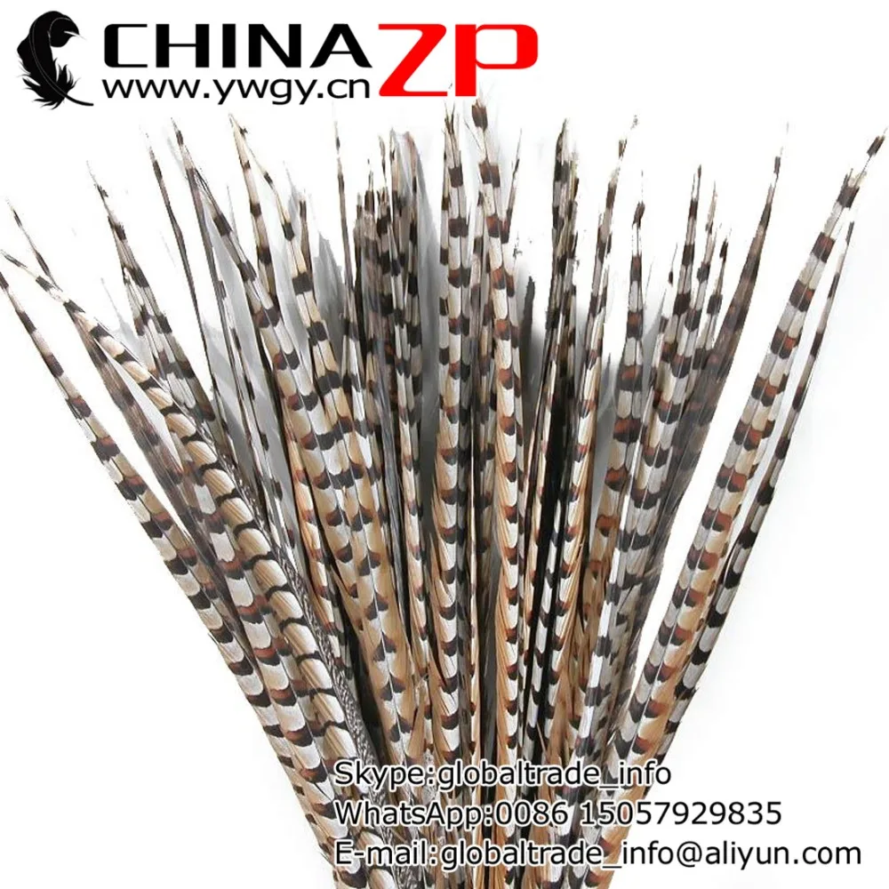 

Leading Supplier CHINAZP Factory 50pcs/lot Large Size 60-70cm(24-28inch) Natural Reeves Venery Pheasant Tail Feathers